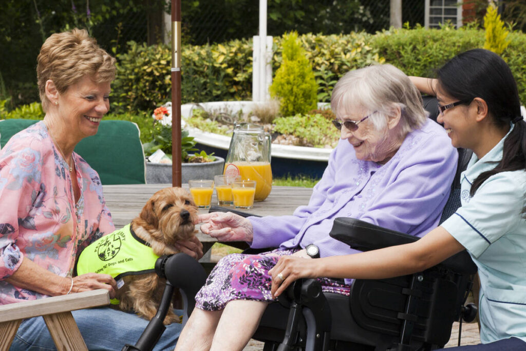 residents out in the garden with a support dog and a nurse