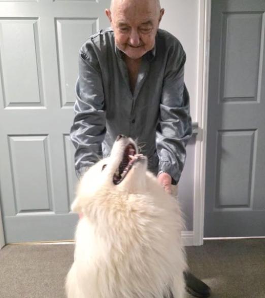 Meeko the Therapy Dog